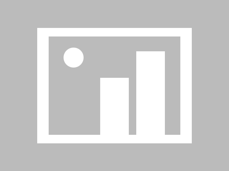 跳水项目本土主办助推团队实力迅速成长，跳水项目比赛